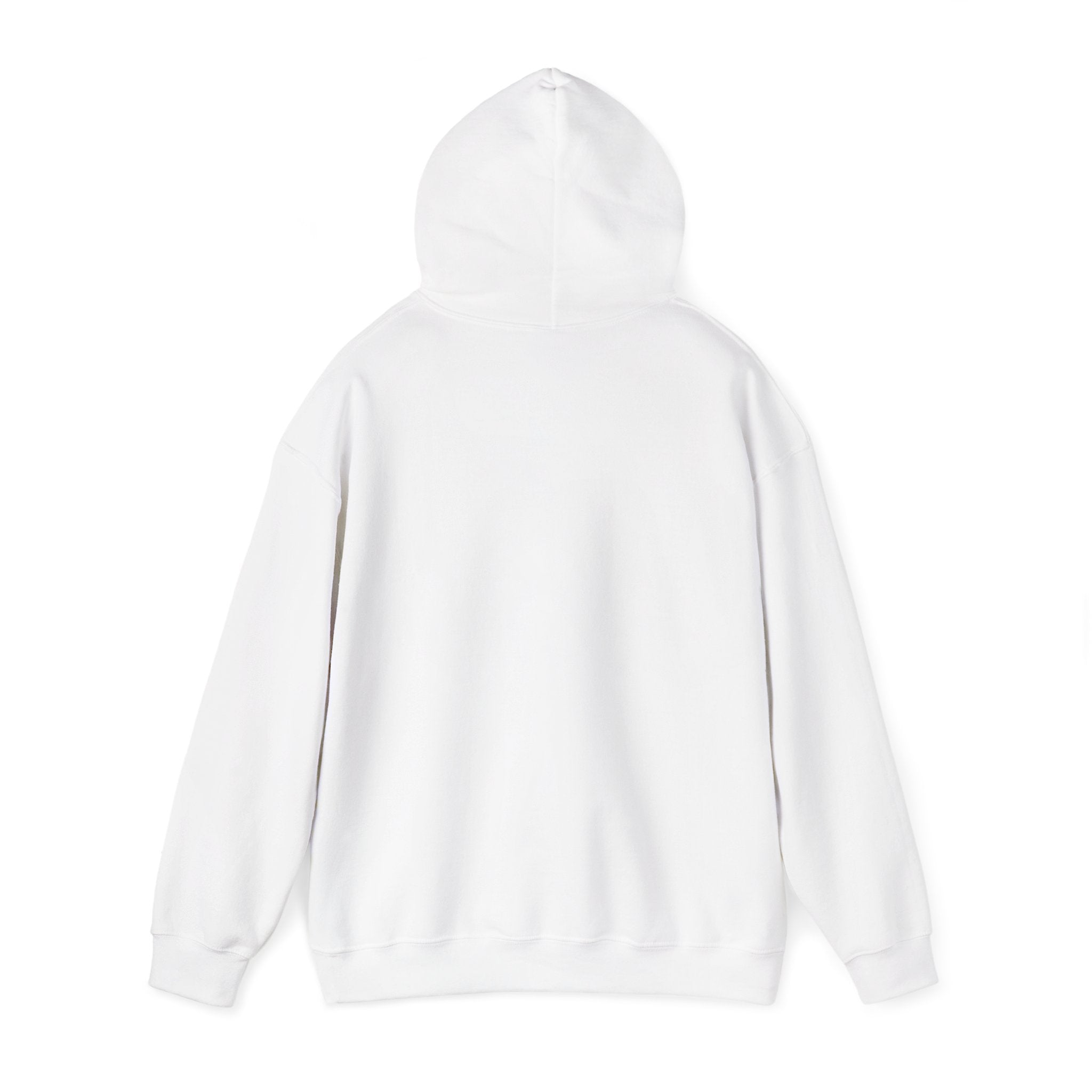 Bulldog Boxing Club Hoodie — 'Bullying' Vintage Mascot Graphic Hoodie