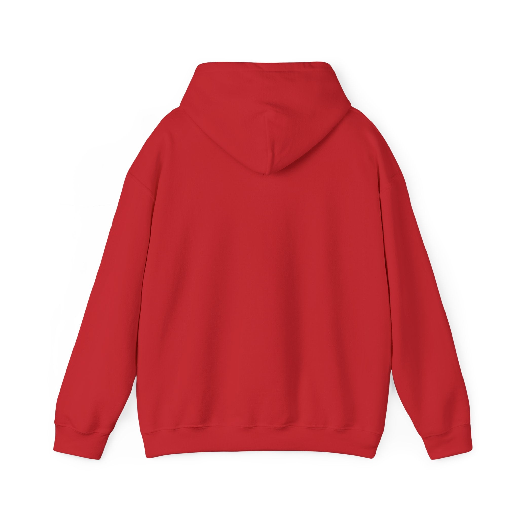 Bulldog Boxing Club Hoodie — 'Bullying' Vintage Mascot Graphic Hoodie